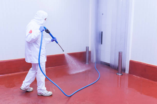 Paint Preparation in Parker, CO